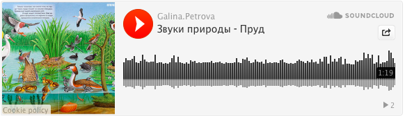 Звуки природы и виммельбухи