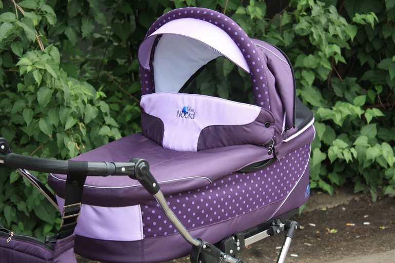 моя любимица Noordline Edel