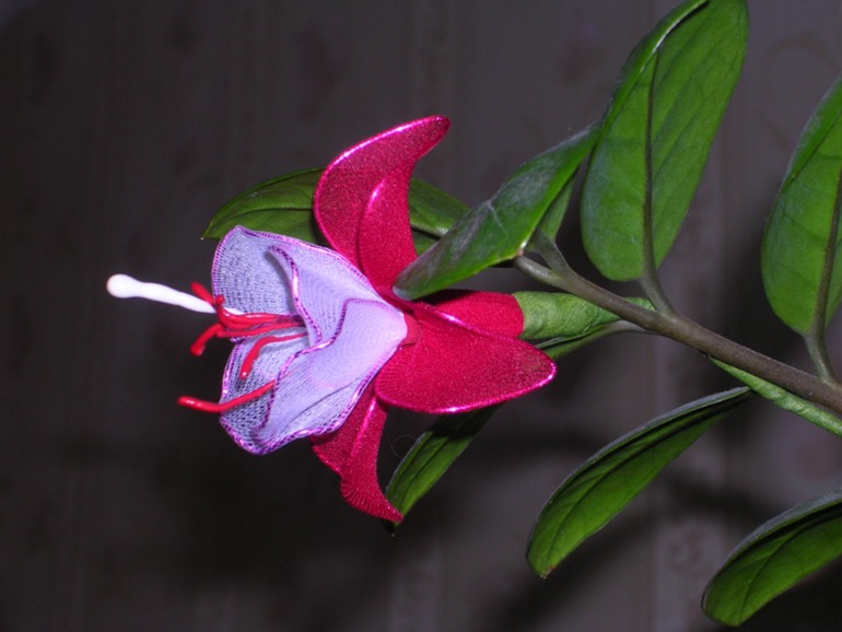 Опробовала новый материал - капрон. Хвастаюсь первыми результатами))