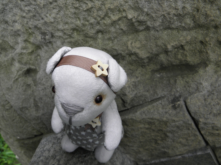 С неба звёздочка упала...