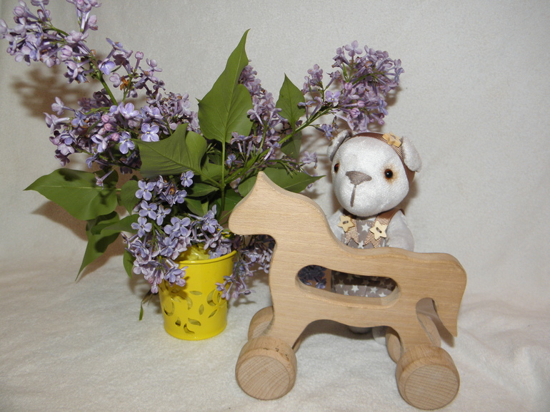 С неба звёздочка упала...