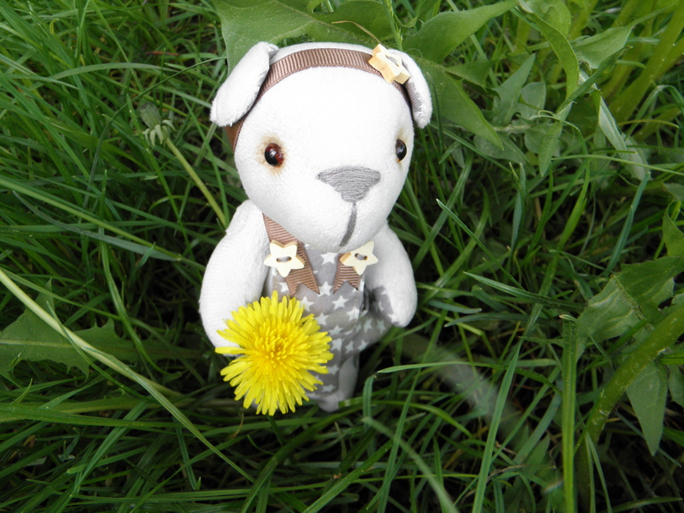 С неба звёздочка упала...