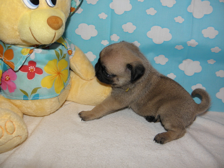 Вот нам уже и месяц)))