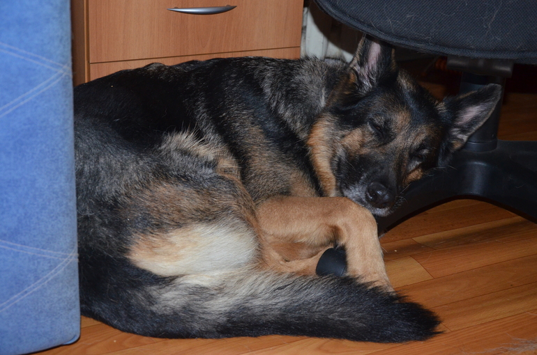 Наша веселая жизнь..