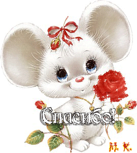 Спасибо за чудесный сюрприз!!!