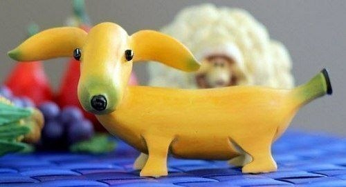 Много, много, много фото-приколов