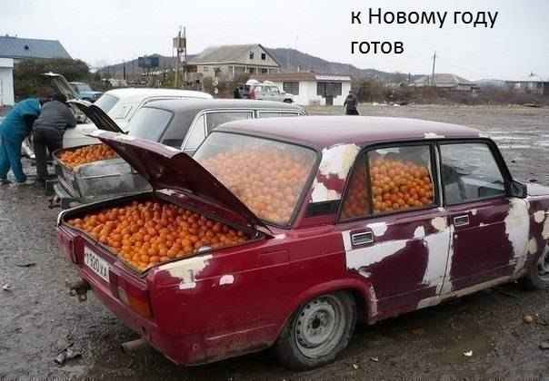 Много, много, много фото-приколов
