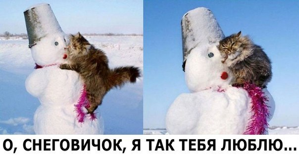 Много, много, много фото-приколов