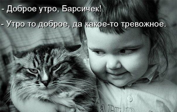 Много, много, много фото-приколов