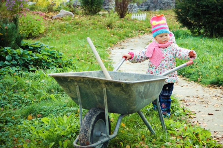 Осенняя пора