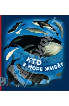 ТН Море День 5 Завершающий