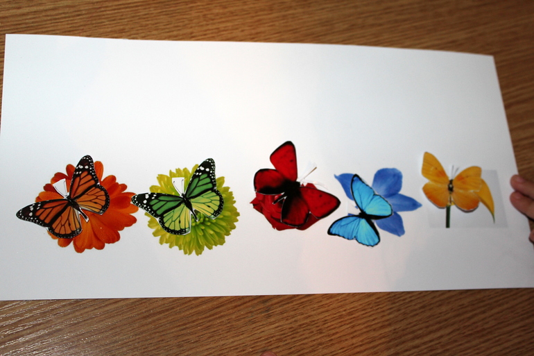 Второй день ТН