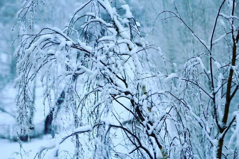 Читай-город