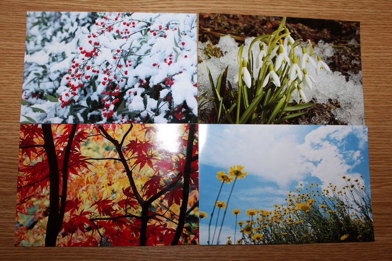 Пятый день ТН