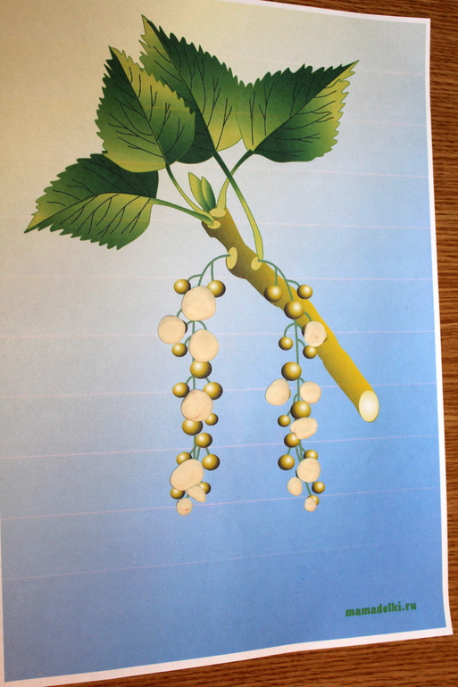 Третий день ТН