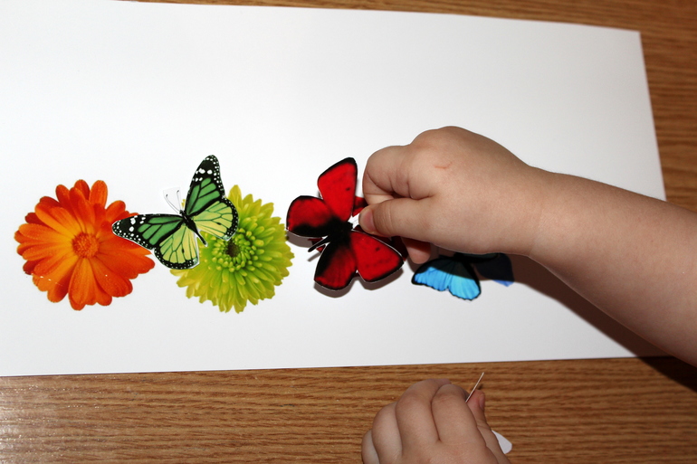 Второй день ТН