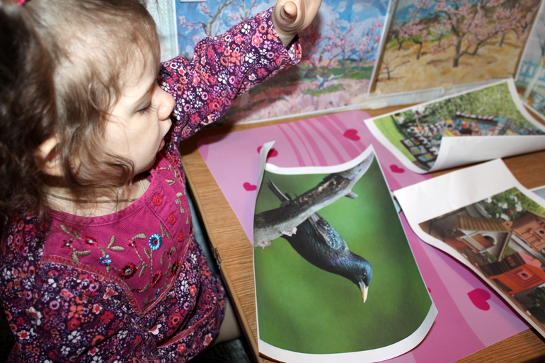 ТН "Весна". День 4 ". Здравствуйте птицы!"