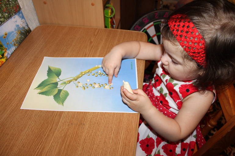 Третий день ТН