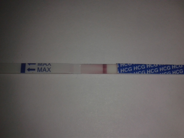 1 ДЗ Фраутест