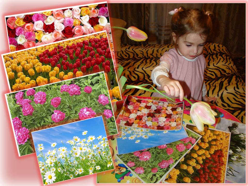 ТЗ "В мире цвета и цветов!"