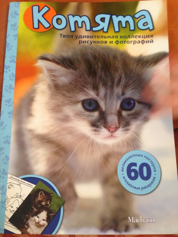 Наш Кошачий день