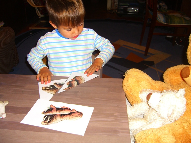 АРКТИКА И АНТАРКТИКА!! ДЕНЬ1