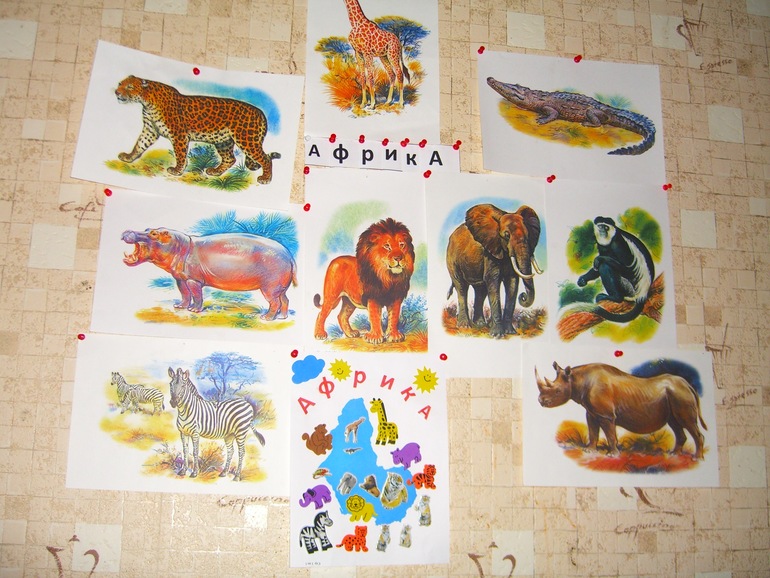 АФРИКА ДЕНЬ2