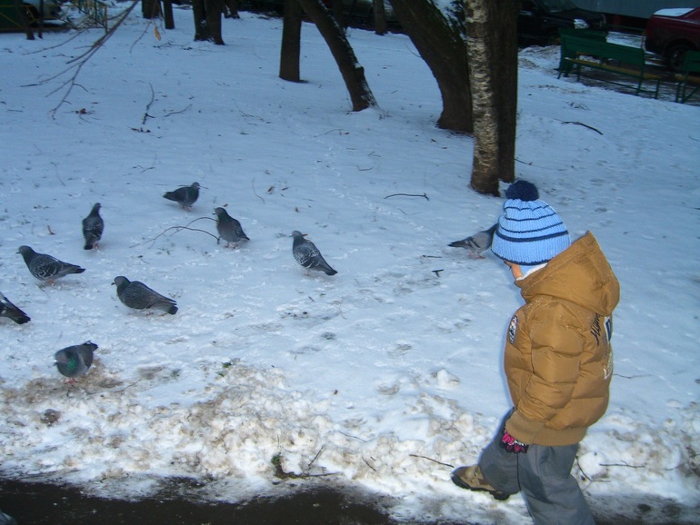 НОВОГОДНИЙ ПЕРЕПОЛОХ 1 НЕДЕЛЯ