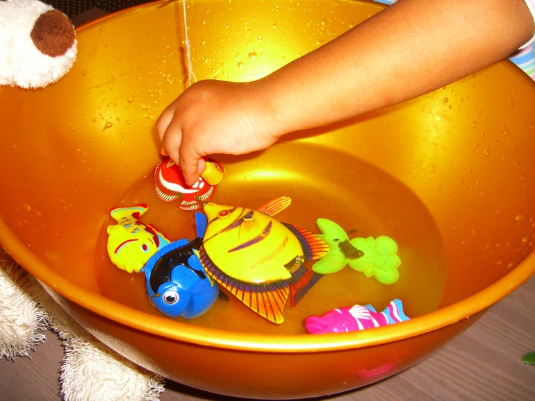 АРКТИКА И АНТАРКТИКА!! ДЕНЬ1