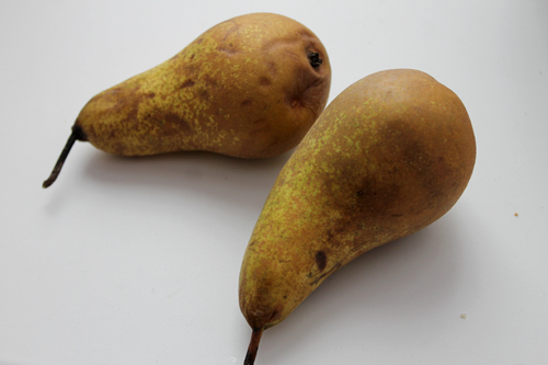 Прикорм без запоров и проблем