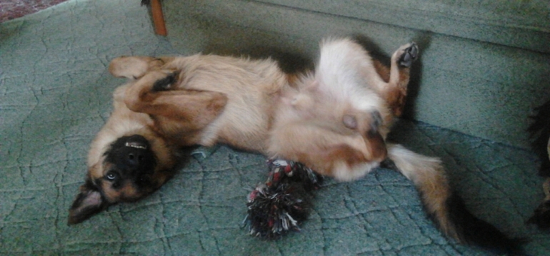 вот такие мы шладкие...