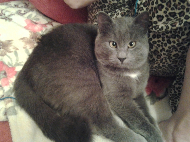 надеемся на чудо...