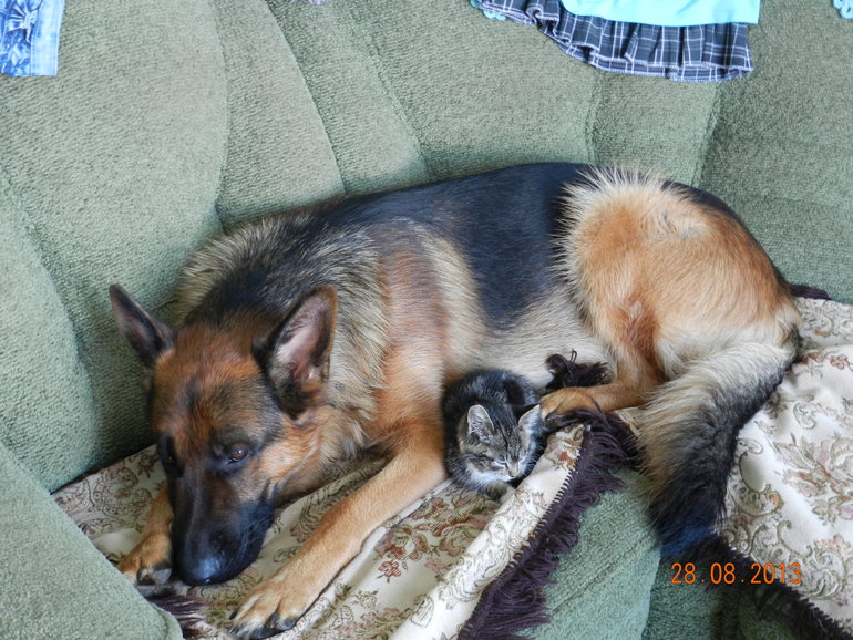 мой мальчик