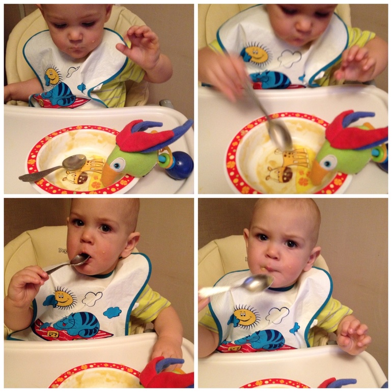 ТН Домашние животные. День 3 - попугай.