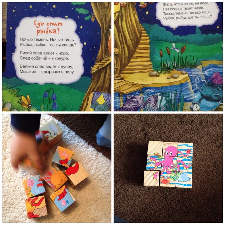 ТН неделя - домашние животные. День 4 - рыбки