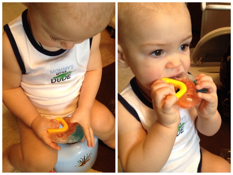 ТН неделя - домашние животные. День 4 - рыбки