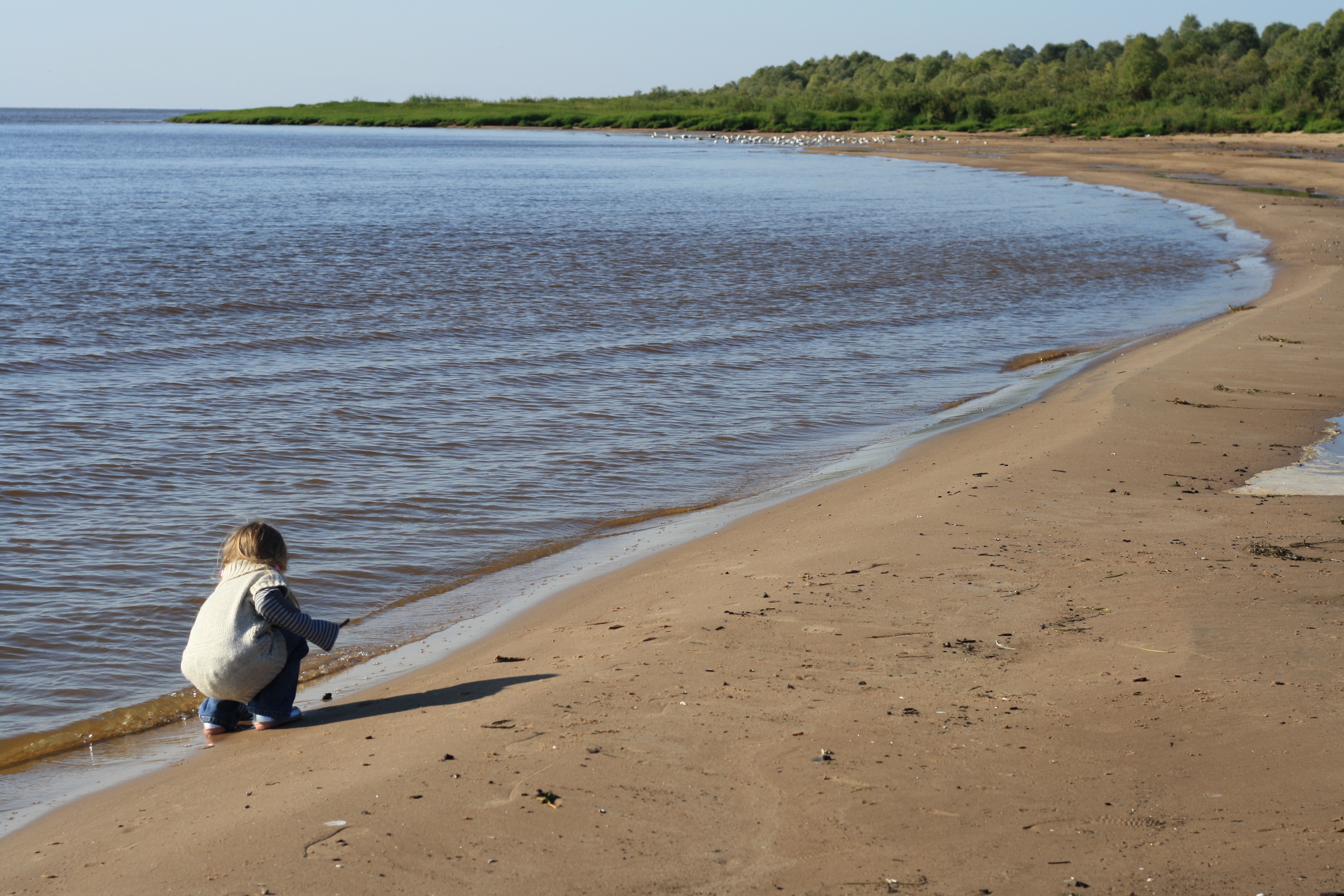 немного фото о лете и ранней осени.