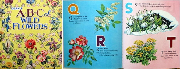 Мой обзор детских АЛФАВИТОВ на АНГЛИЙСКОМ языке