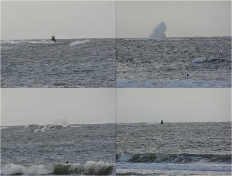 И безумие нашей мамы