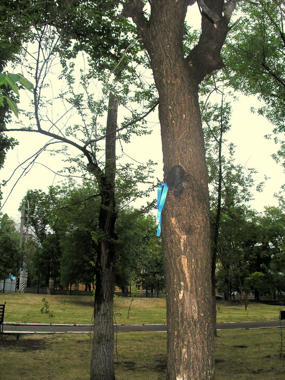 Прогулка 2