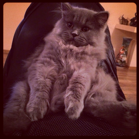 Прислали фото нашего