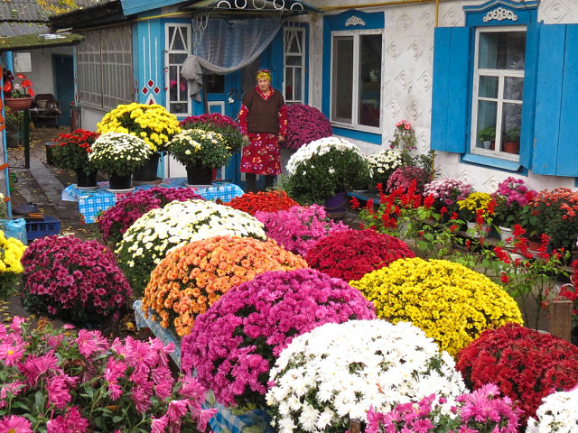 Любите ли вы их также как люблю их я....