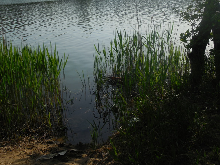 Майская жара))))