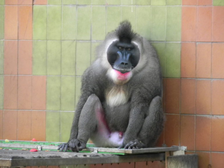 Испания, Каталония, Барселона, Матаро 2013г.