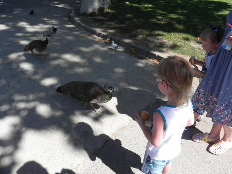 Испания, Каталония, Барселона, Матаро 2013г.