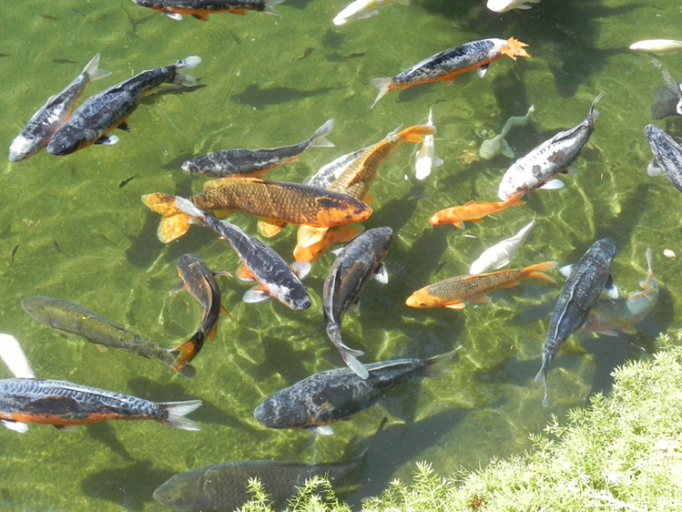 Испания, Каталония, Барселона, Матаро 2013г.