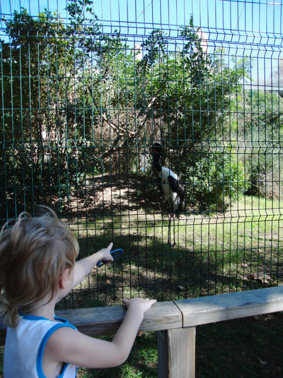 Испания, Каталония, Барселона, Матаро 2013г.