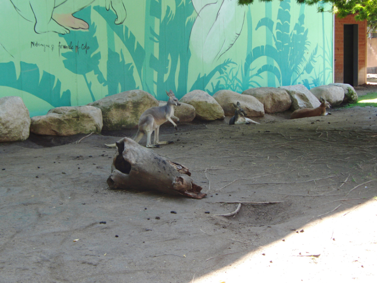 Испания, Каталония, Барселона, Матаро 2013г.