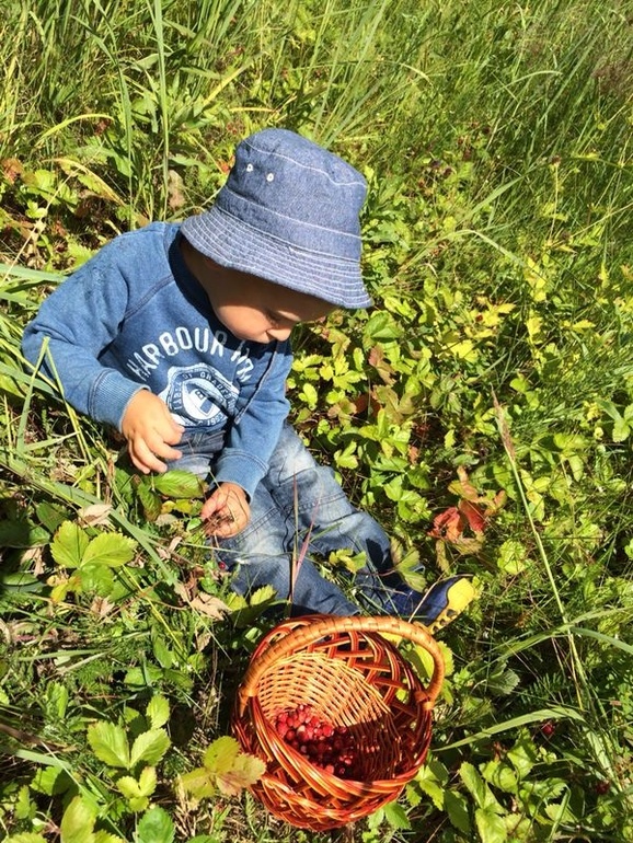 Земляника и мы