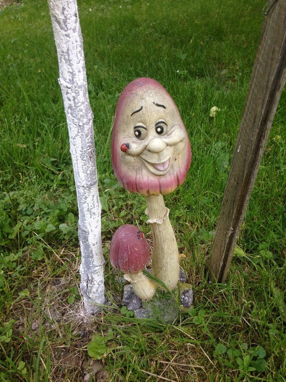 Зверушки
